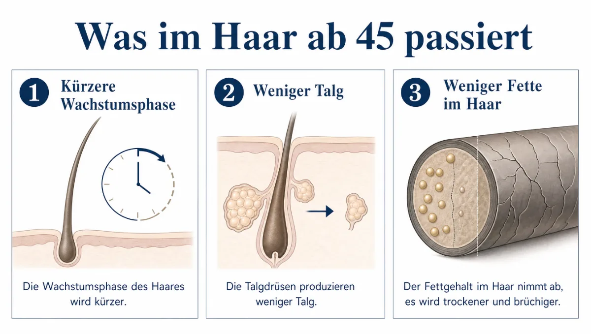 Grafik: Was im Haar ab 45 passiert